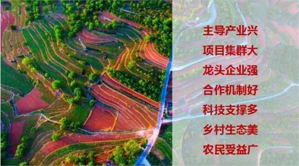 田园综合体